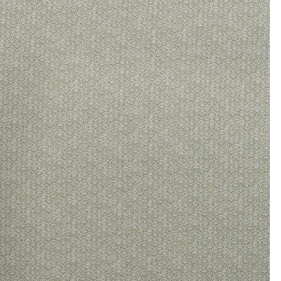 KRAVET COUTURE DAISY AM100507.23.0 in FENNEL Wallpaper - AND