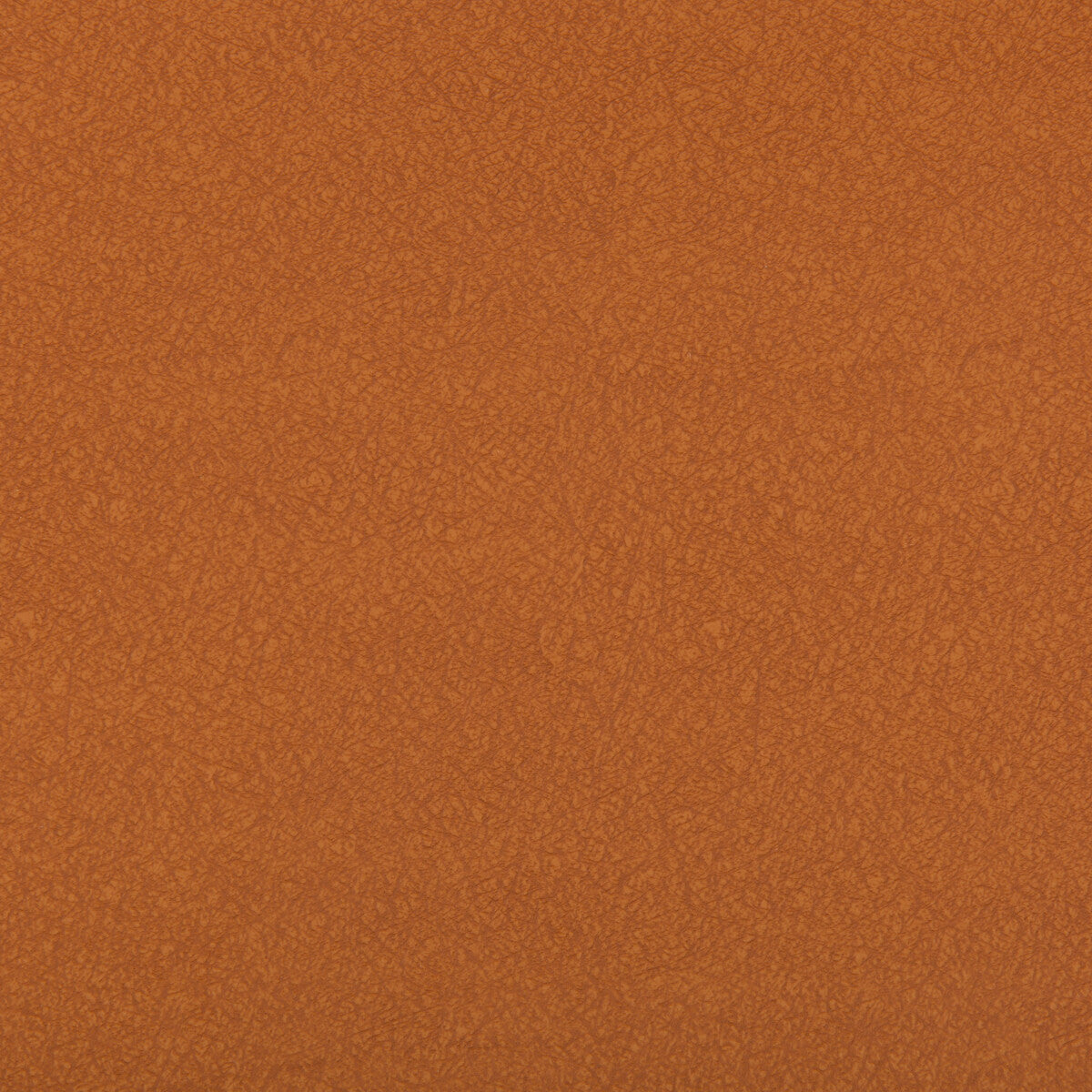 KRAVET CONTRACT AMES.24.0 AMES CANYON Fabric - Eade's Wallpaper