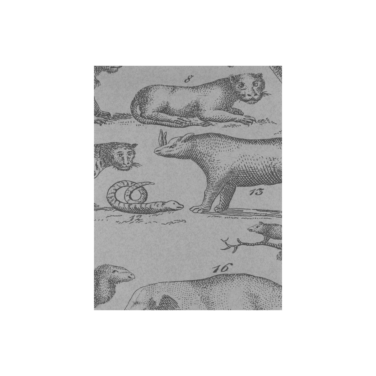 KRAVET COUTURE AMW10001.11.0 ARK CLOUD Wallpaper - Eade's Wallpaper