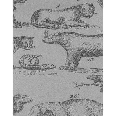 KRAVET COUTURE AMW10001.11.0 ARK CLOUD Wallpaper - Eade's Wallpaper