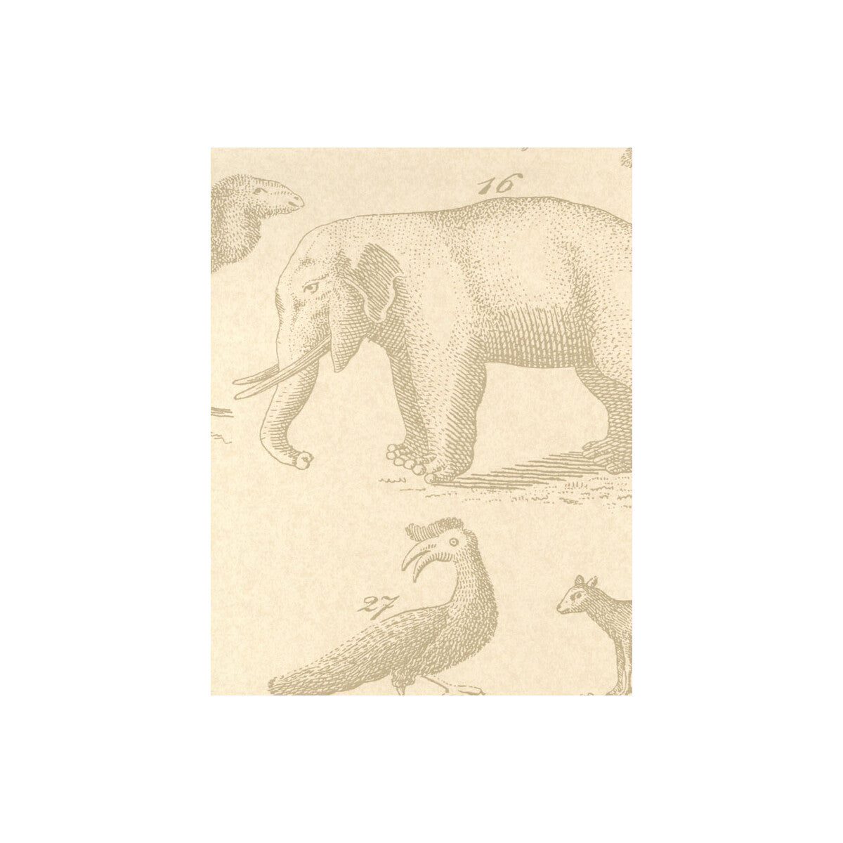 KRAVET COUTURE AMW10001.16.0 ARK SAND Wallpaper - Eade's Wallpaper