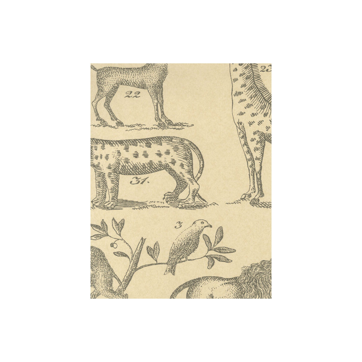 KRAVET COUTURE AMW10001.1611.0 ARK PARCHMENT Wallpaper - Eade's Wallpaper