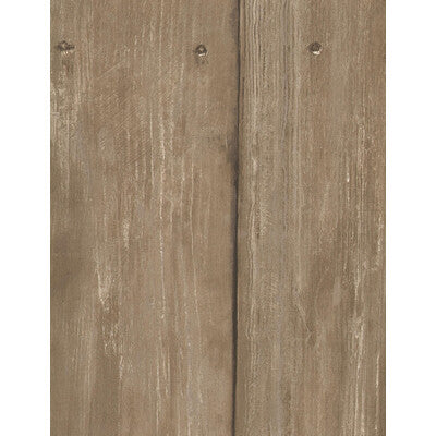 KRAVET COUTURE AMW10014.16.0 TIMBER OAK Wallpaper - Eade's Wallpaper
