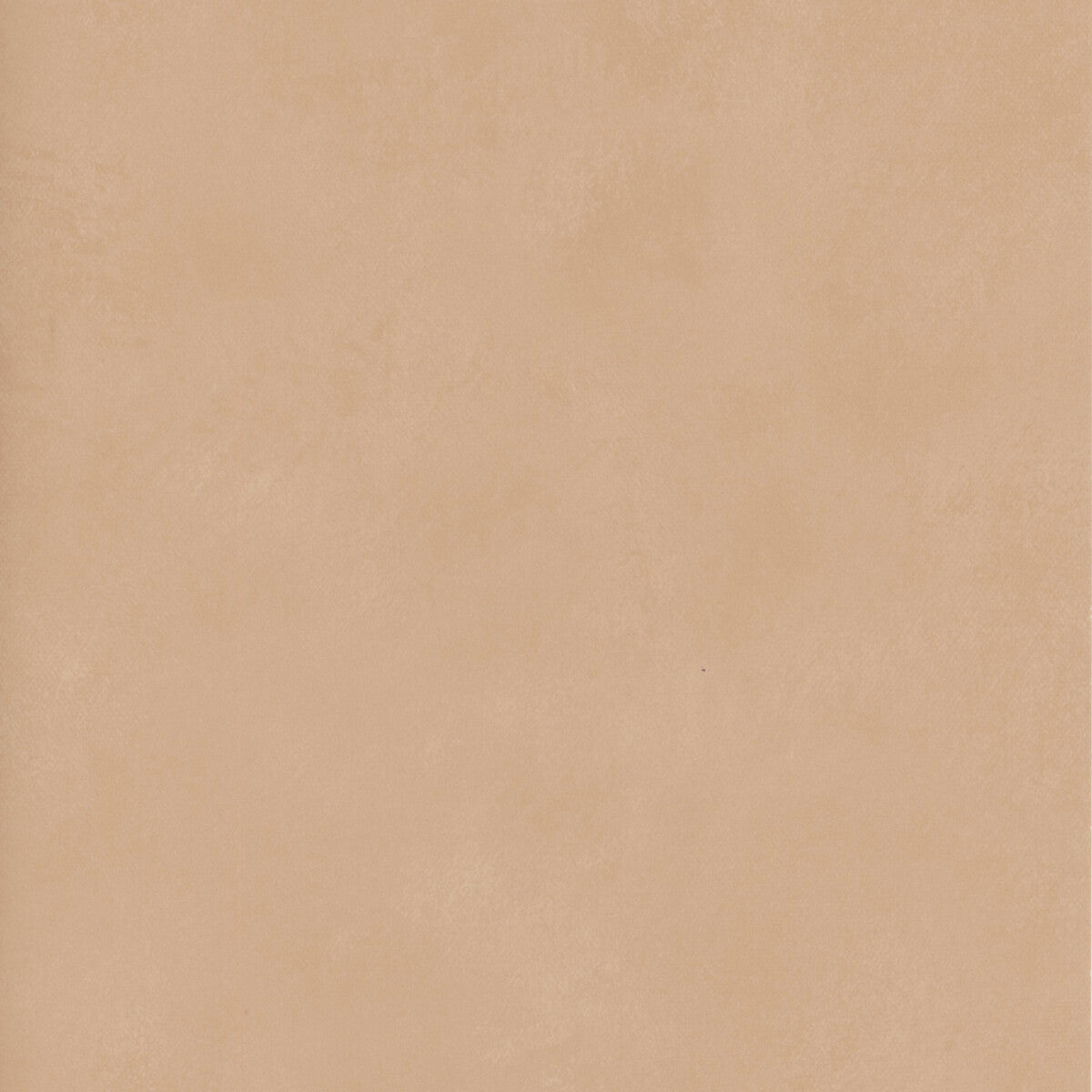 KRAVET COUTURE AMW10059.16.0 JAPAN BLUSH Wallpaper - Eade's Wallpaper