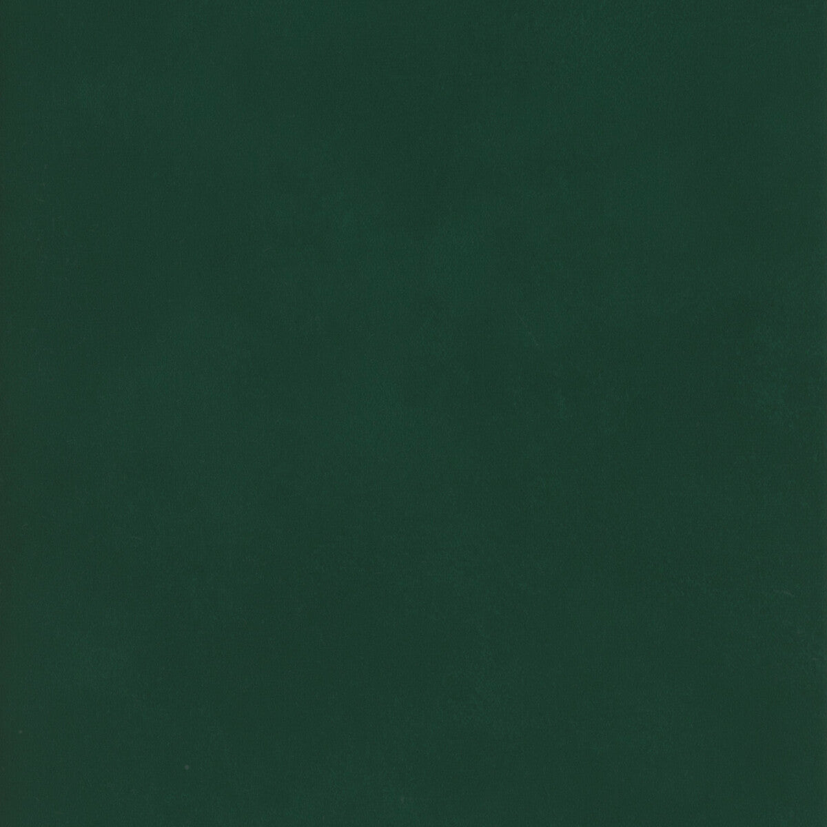 KRAVET COUTURE AMW10059.53.0 JAPAN BAIZE Wallpaper - Eade's Wallpaper