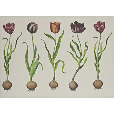 KRAVET COUTURE AMW10067.310.0 TULIPS 310 Wallpaper - Eade's Wallpaper
