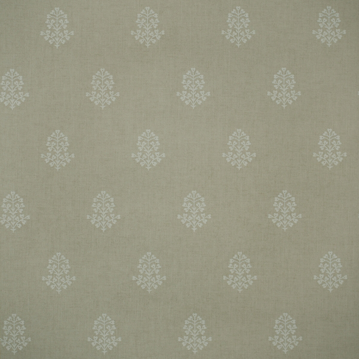 KRAVET COUTURE AMW10076.106.0 COW PARSLEY STONE Wallpaper - Eade's Wallpaper