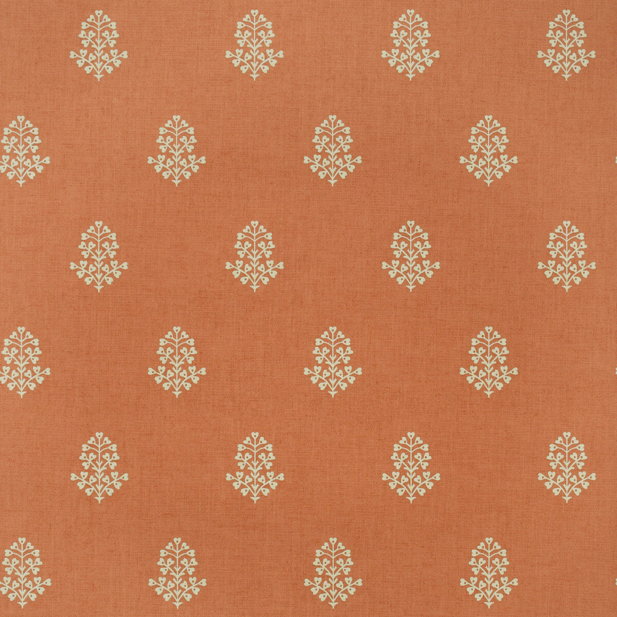 KRAVET COUTURE AMW10076.12.0 COW PARSLEY CLEMENTINE Wallpaper - Eade's Wallpaper