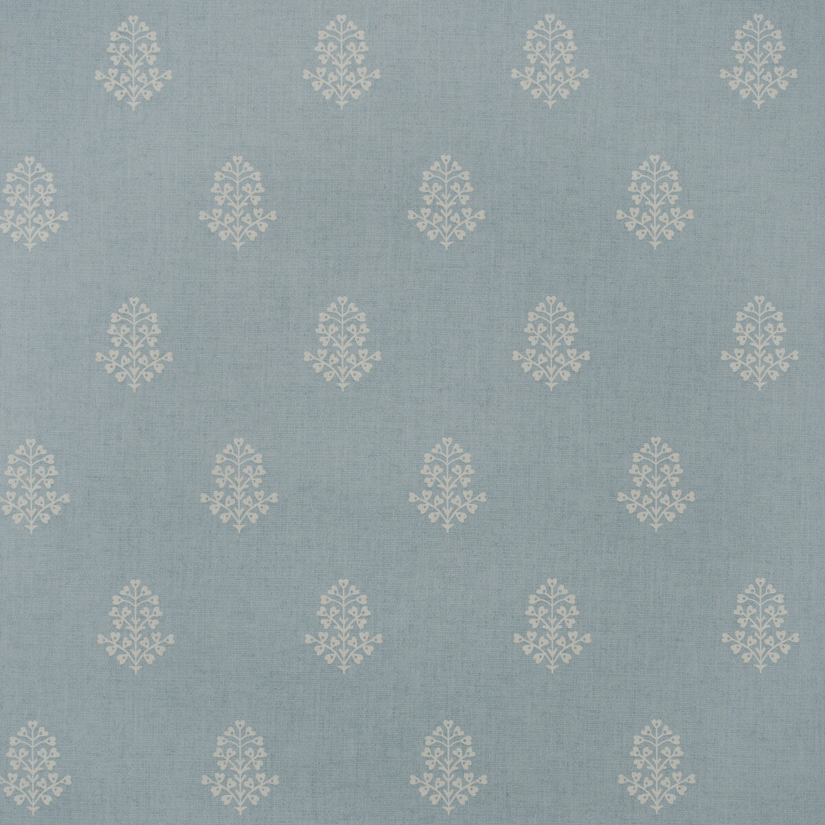 KRAVET COUTURE AMW10076.15.0 COW PARSLEY SKY Wallpaper - Eade's Wallpaper