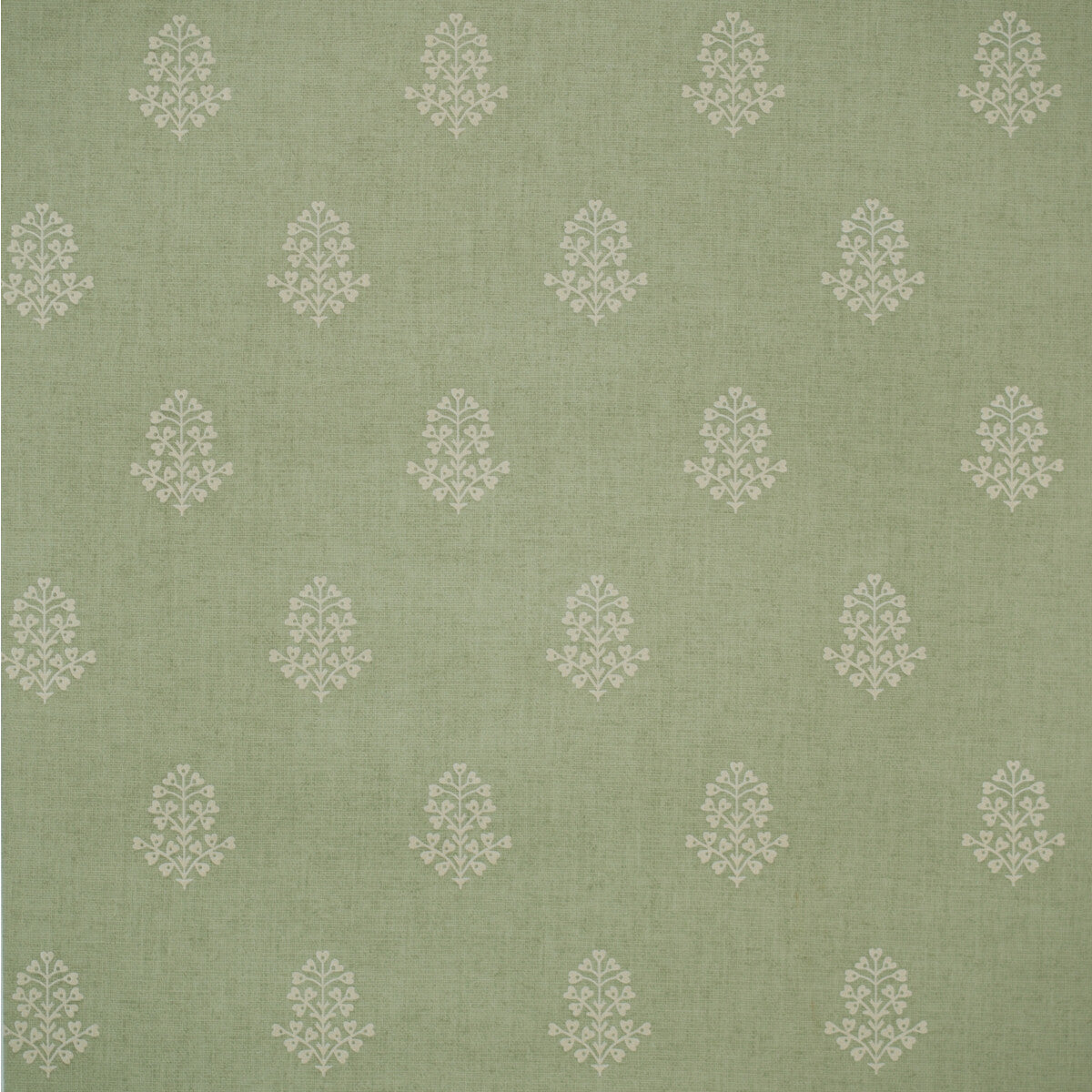 KRAVET COUTURE AMW10076.3.0 COW PARSLEY LEAF Wallpaper - Eade's Wallpaper