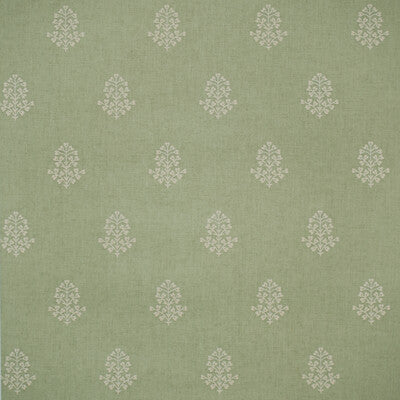 KRAVET COUTURE AMW10076.3.0 COW PARSLEY LEAF Wallpaper - Eade's Wallpaper
