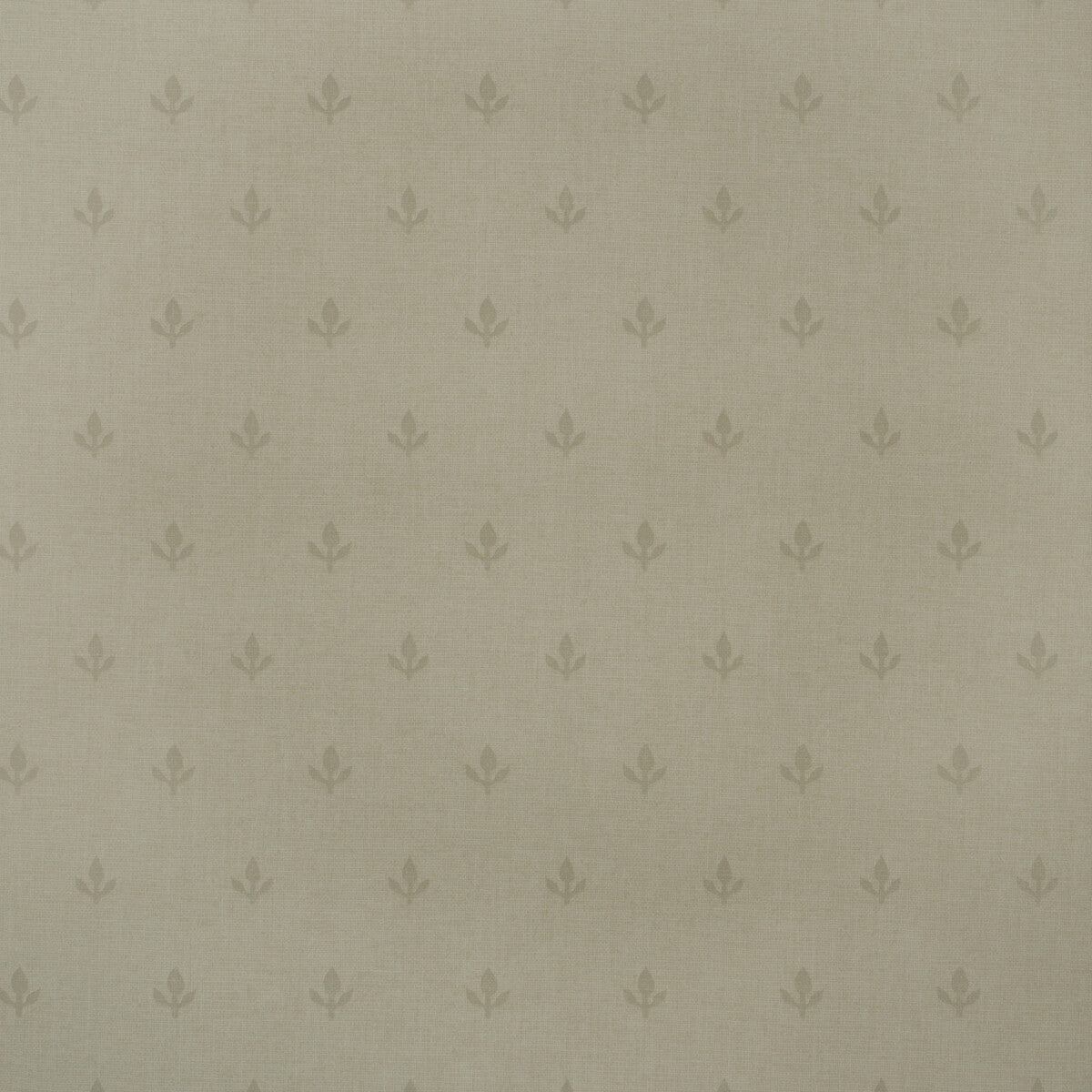 KRAVET COUTURE AMW10077.106.0 CROCUS STONE Wallpaper - Eade's Wallpaper