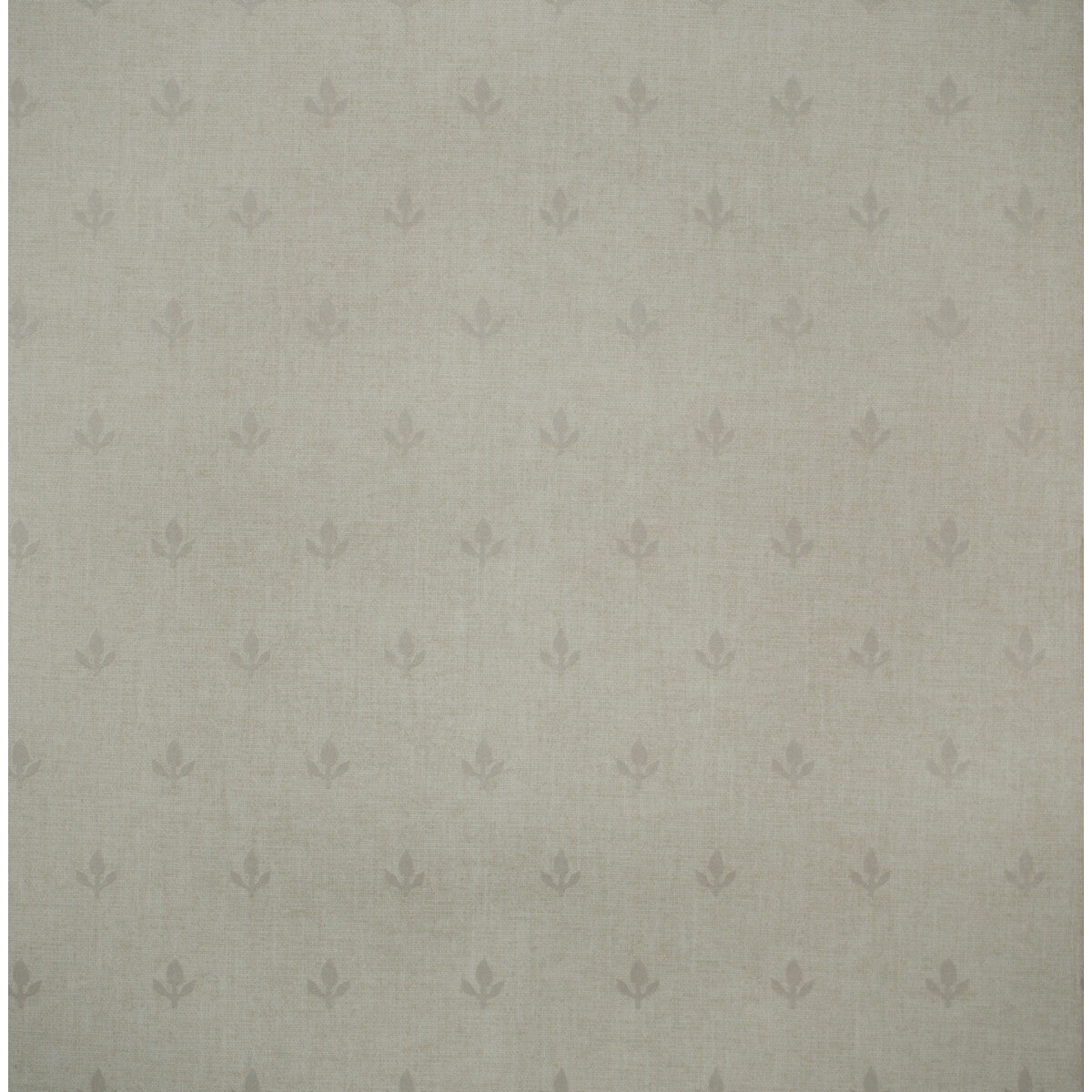 KRAVET COUTURE AMW10077.11.0 CROCUS MARL Wallpaper - Eade's Wallpaper