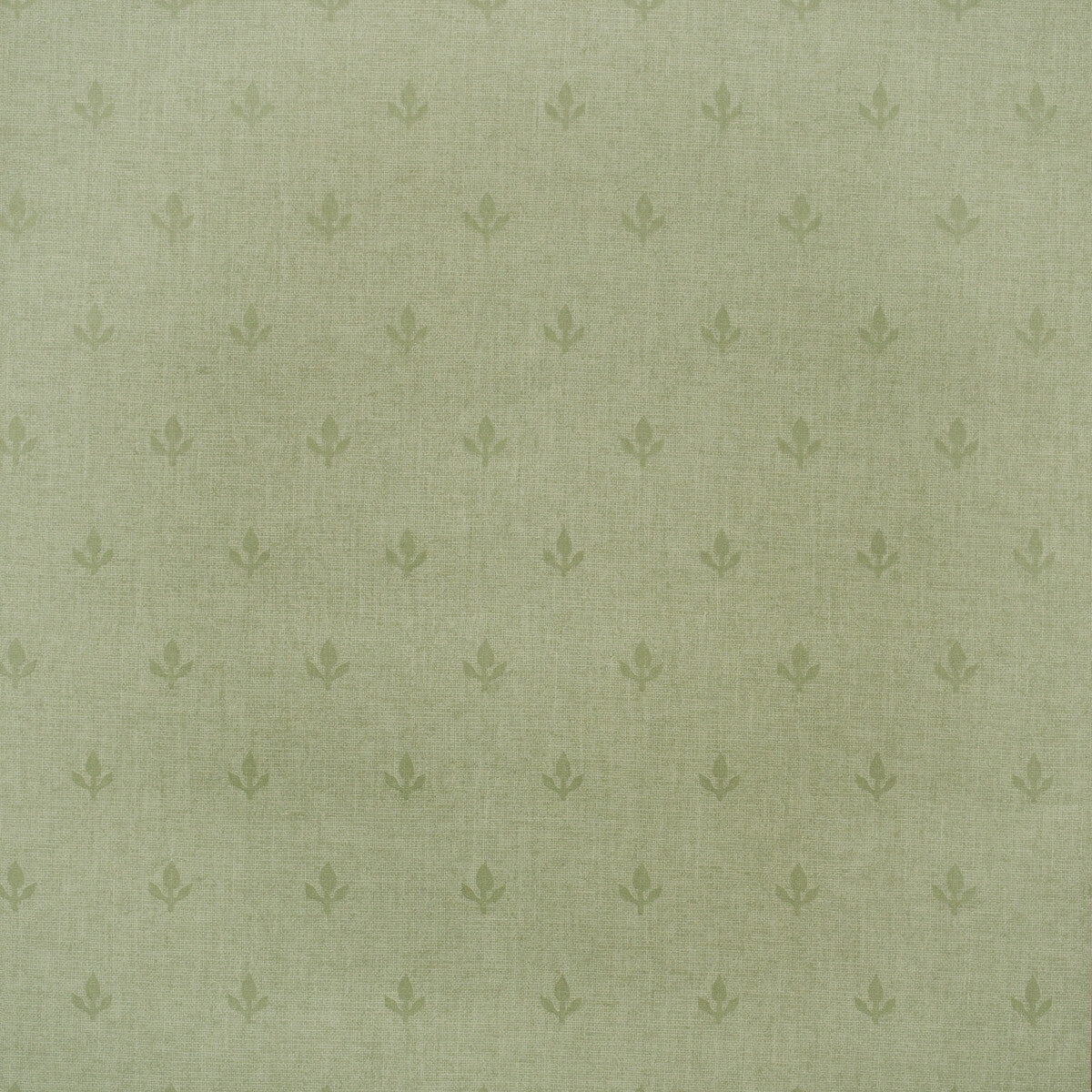 KRAVET COUTURE AMW10077.3.0 CROCUS LEAF Wallpaper - Eade's Wallpaper