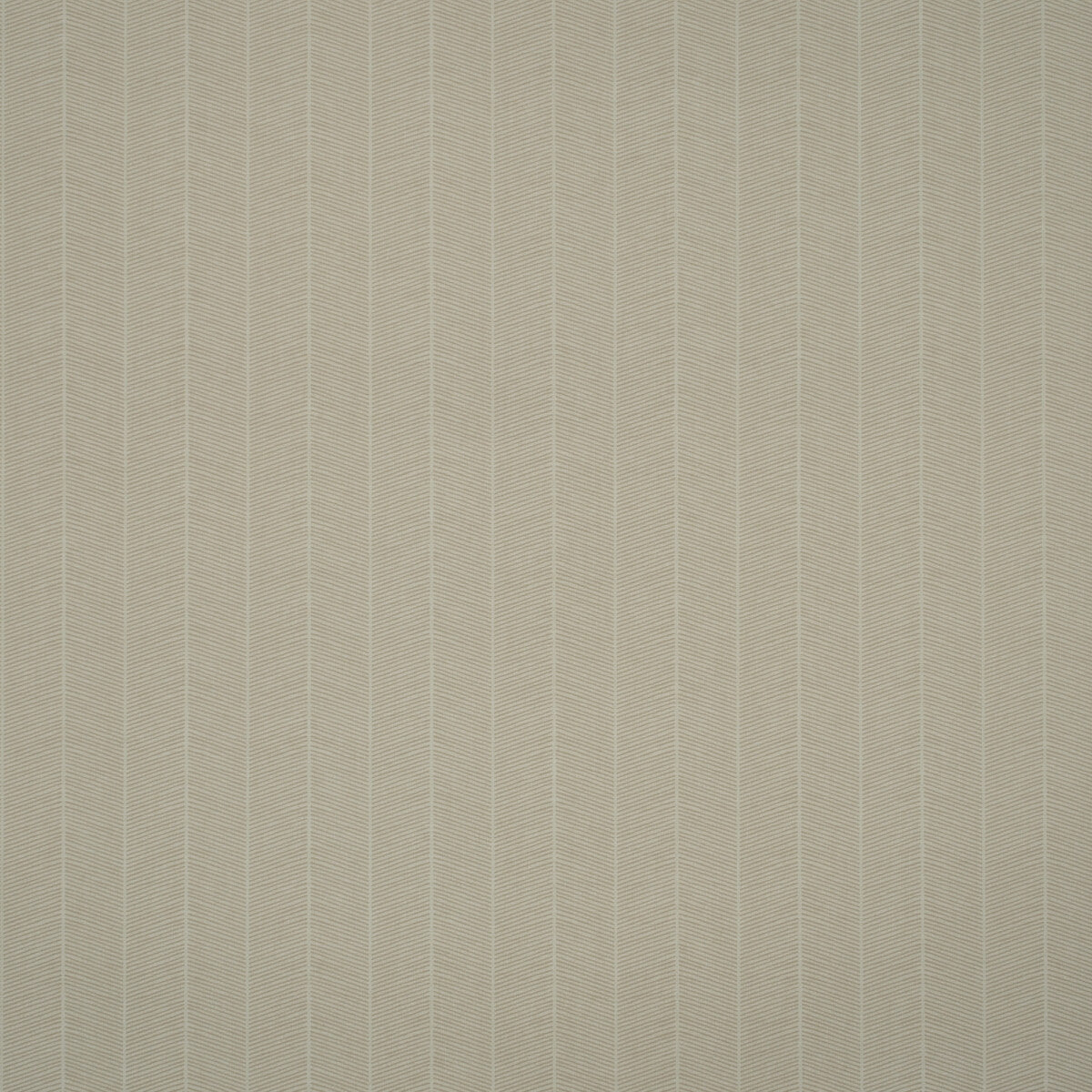KRAVET COUTURE AMW10078.16.0 HORNBEAM STONE Wallpaper - Eade's Wallpaper