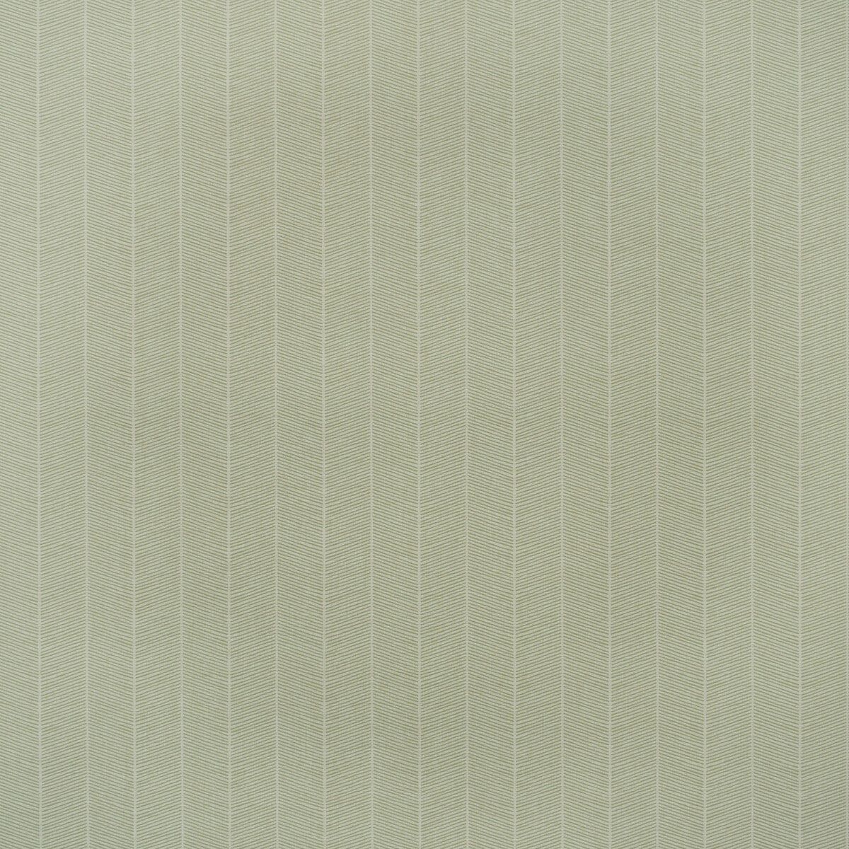 KRAVET COUTURE AMW10078.3.0 HORNBEAM LEAF Wallpaper - Eade's Wallpaper