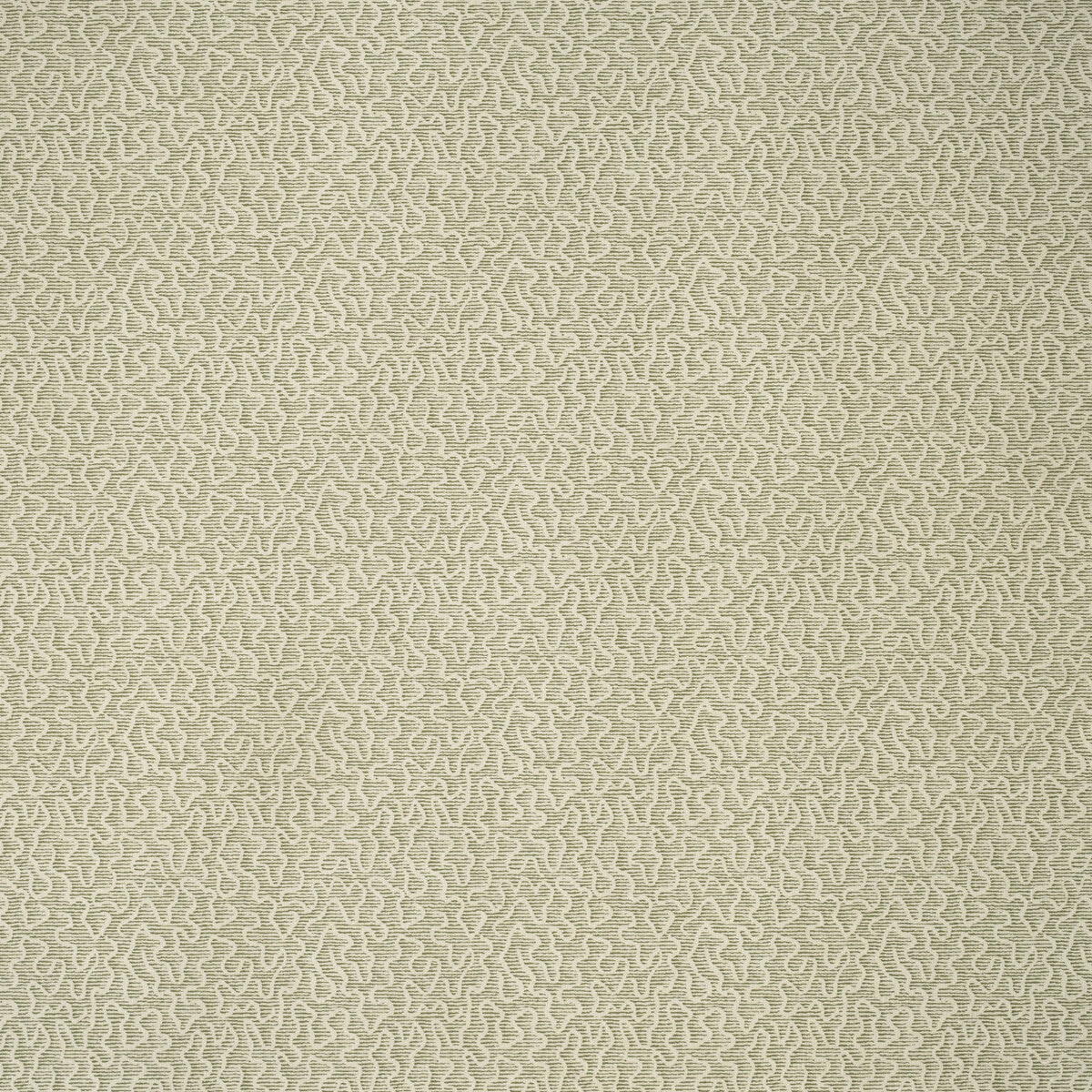 KRAVET COUTURE AMW10079.3.0 MOSS LEAF Wallpaper - Eade's Wallpaper