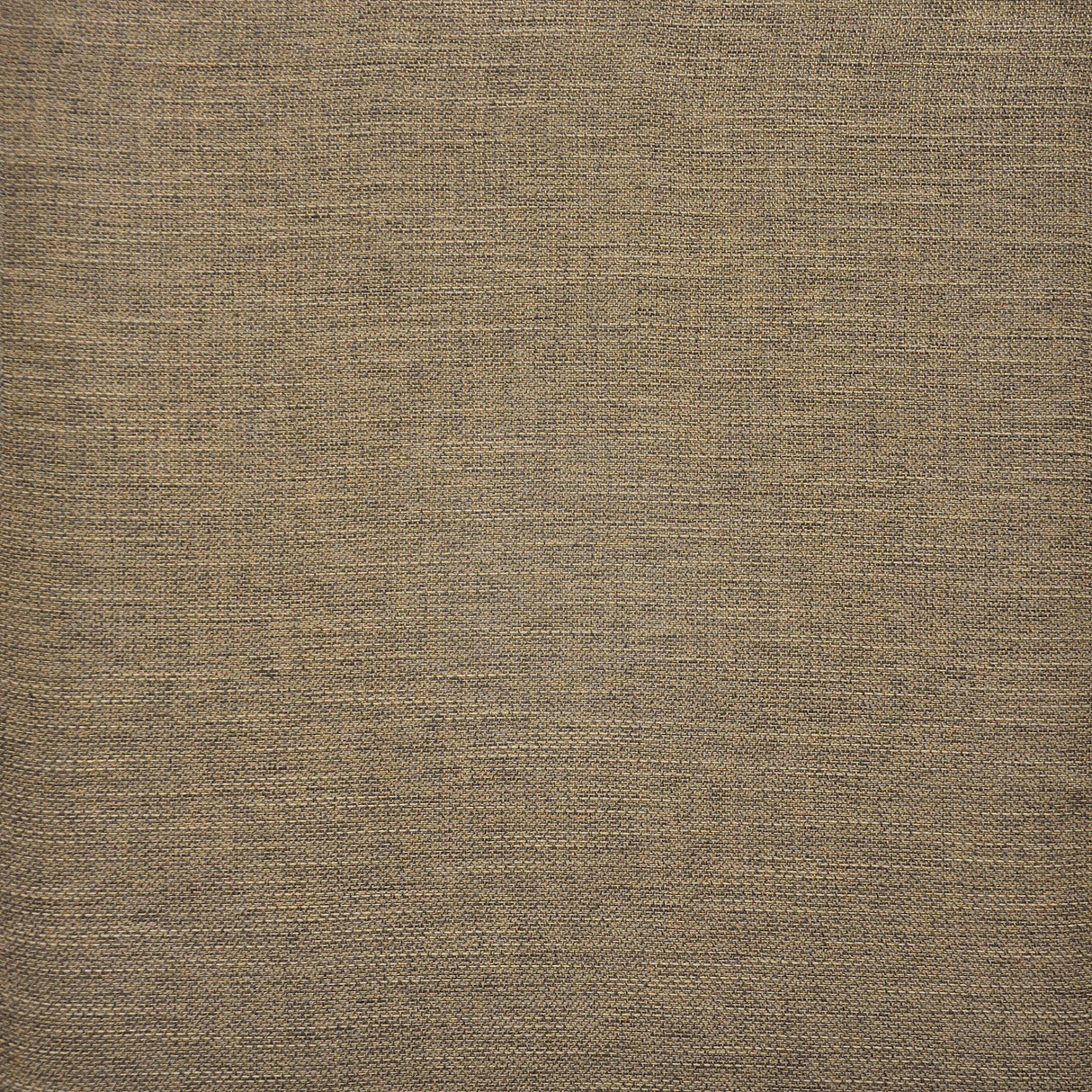 Eade’s # 323 CAPPUCCINO