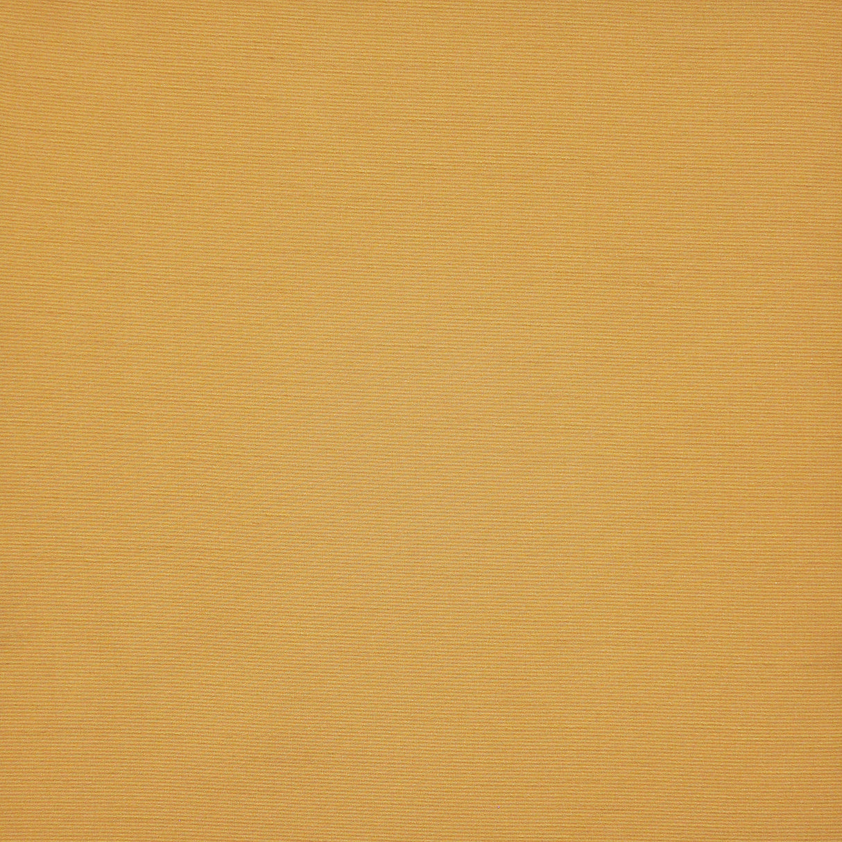 Eade’s # 538 TUSCANY