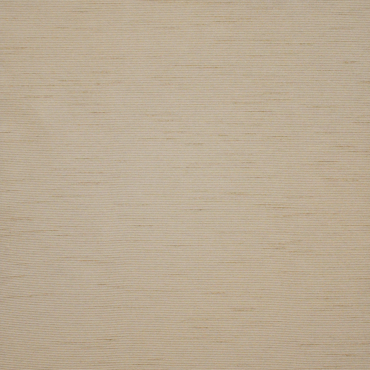 Eade’s # 561 ALMOND