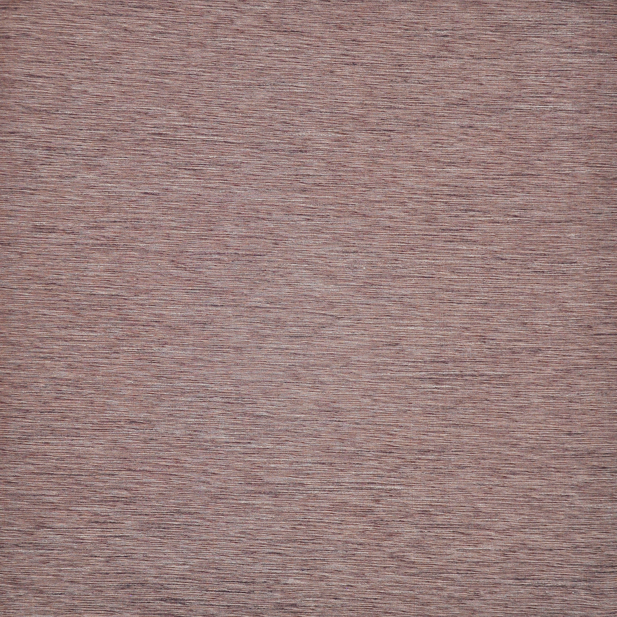 Eade’s # 518 ORCHID