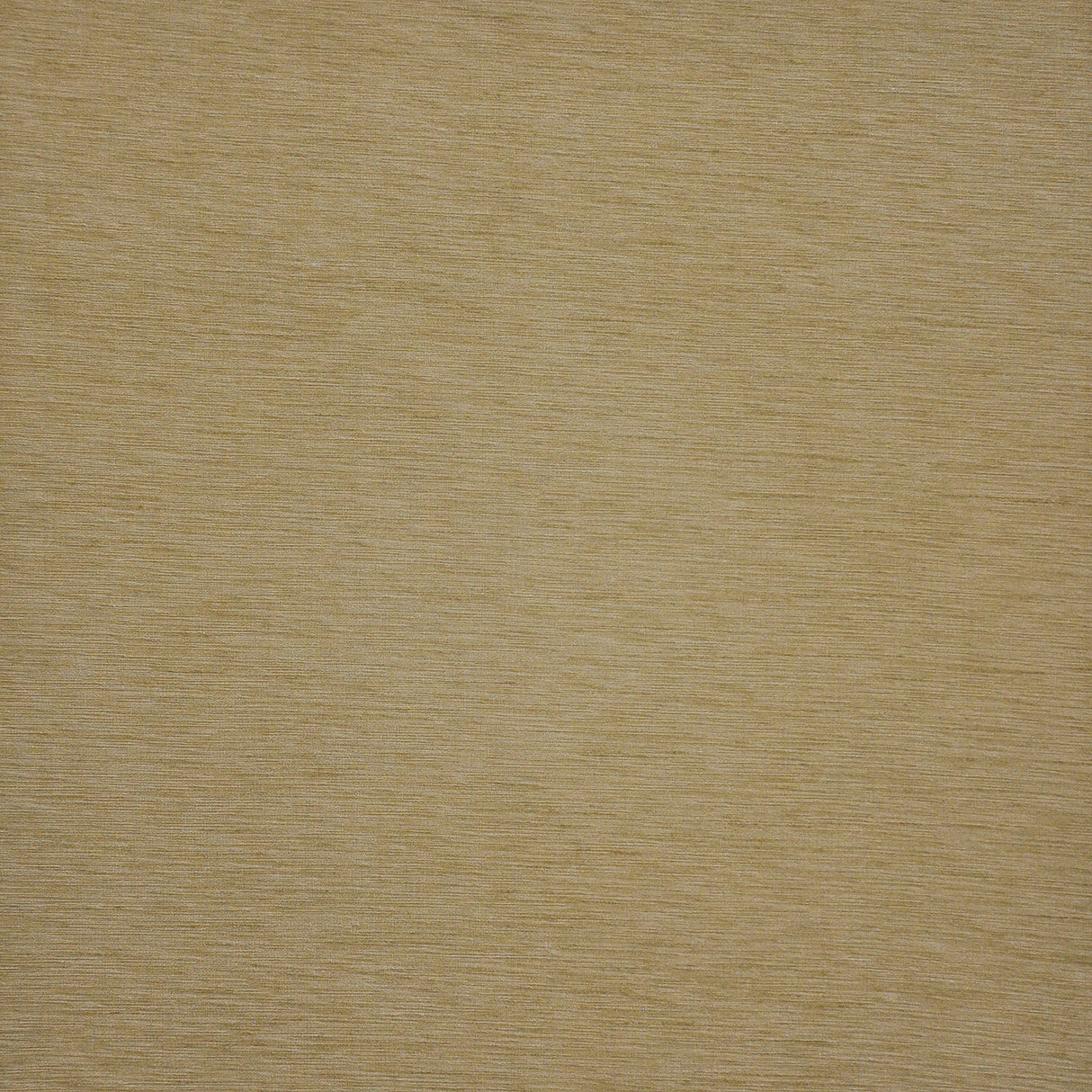 Eade’s # 572 SESAME