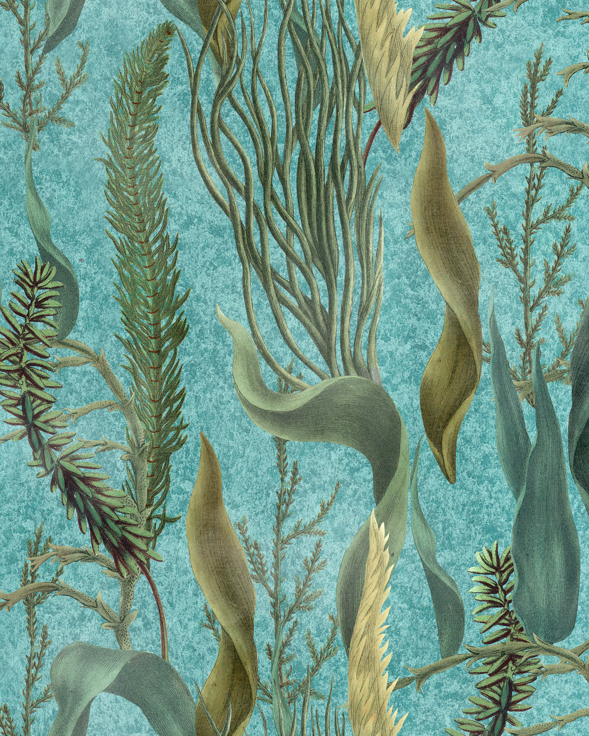 MindtheGap AQUATIC PLANTS Aquamarine - Wallpaper Collection 2024 - The Wetlands