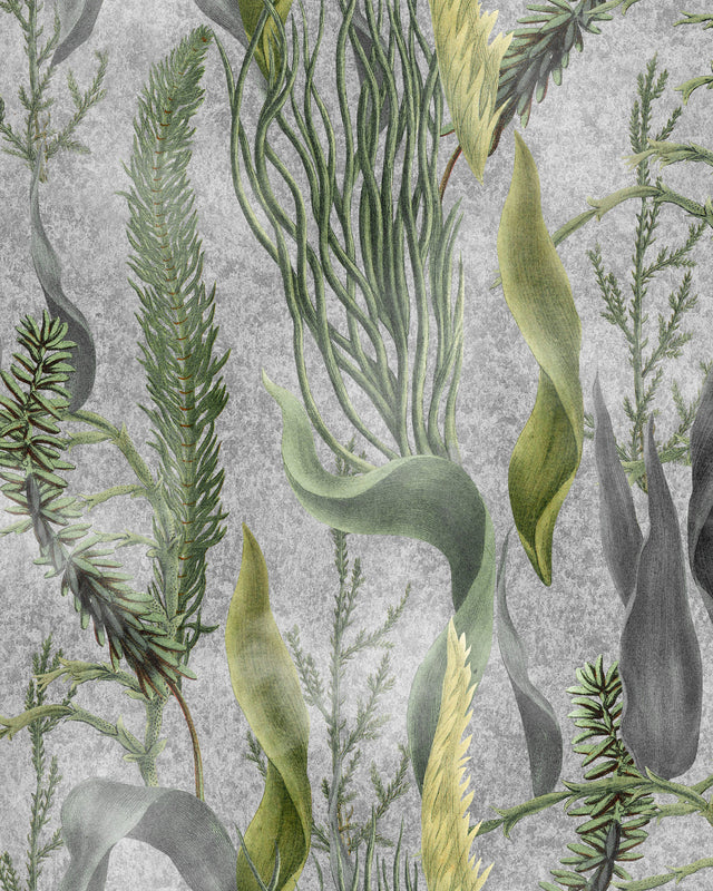 MindtheGap AQUATIC PLANTS Grey - Wallpaper Collection 2024 - The Wetlands