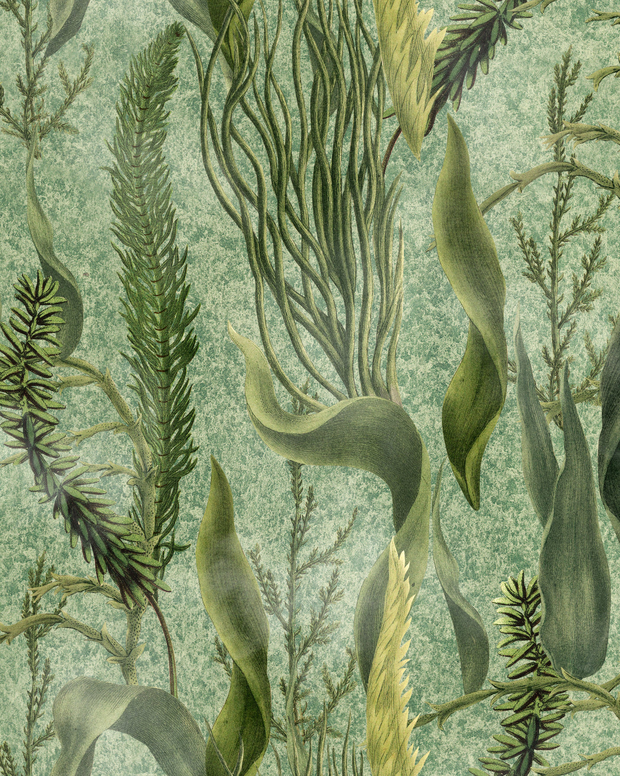 MindtheGap AQUATIC PLANTS - Wallpaper Collection 2024 - The Wetlands