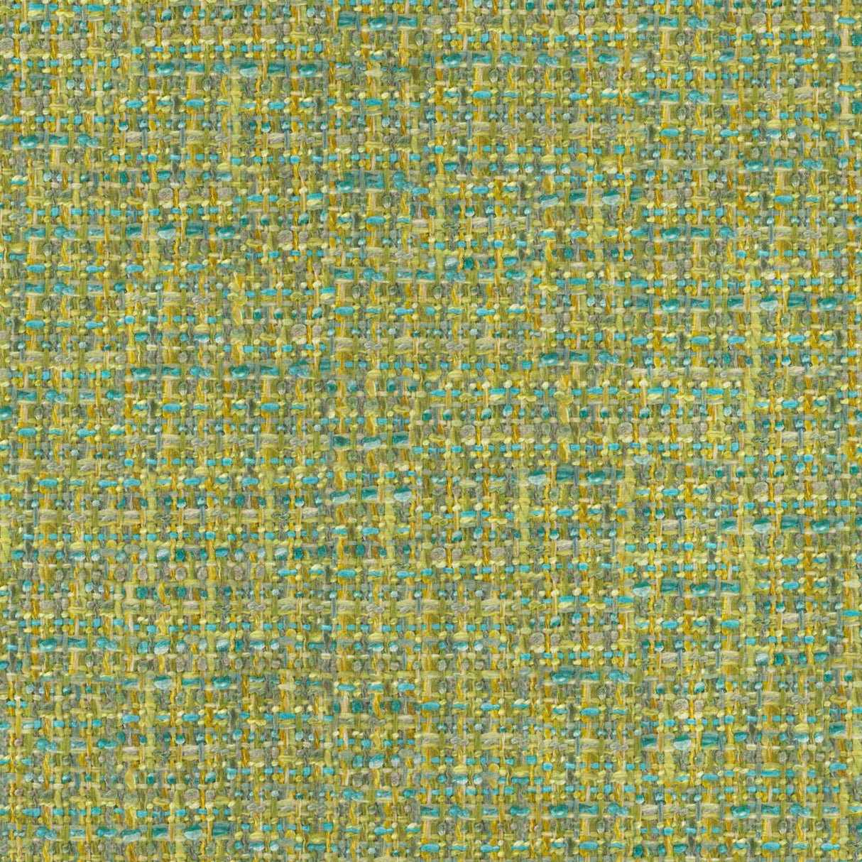 Eade’s # 538 FOREST