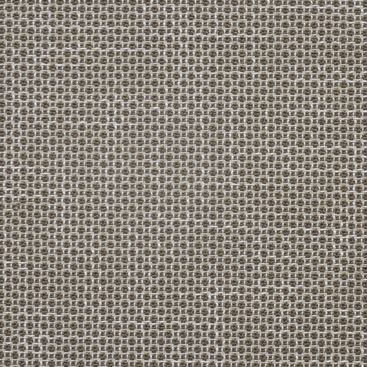 Eade’s # 806 MUSHROOM