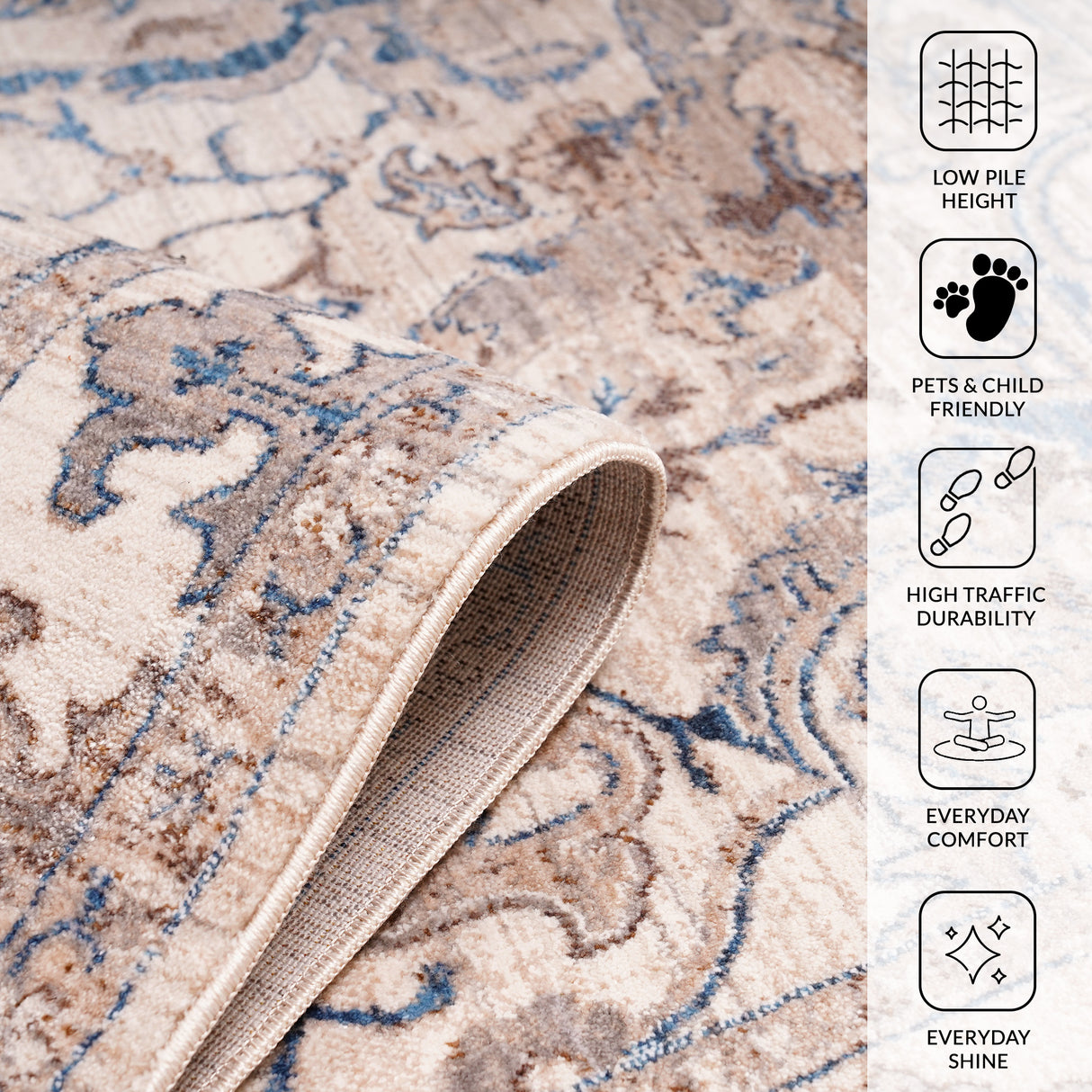 Amer Rugs ARC-1 Arcadia Oriental Design Area Rug