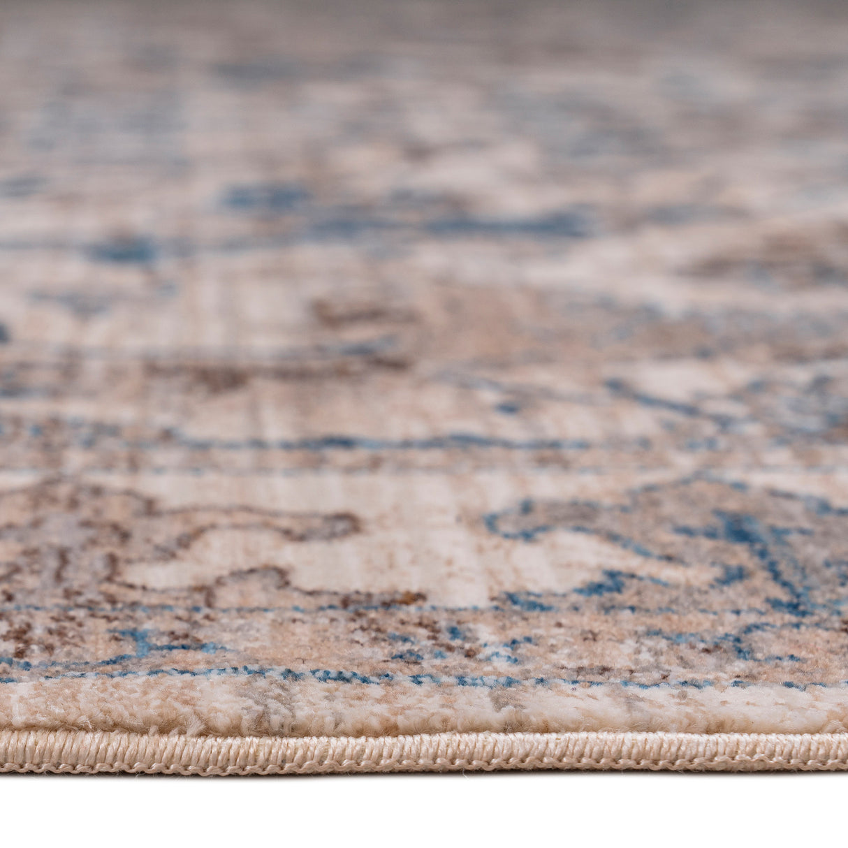 Amer Rugs ARC-1 Arcadia Oriental Design Area Rug