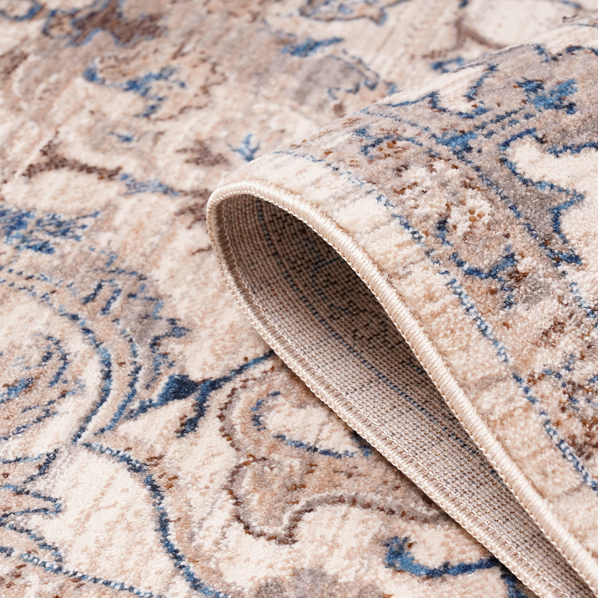 Amer Rugs ARC-1 Arcadia Oriental Design Area Rug