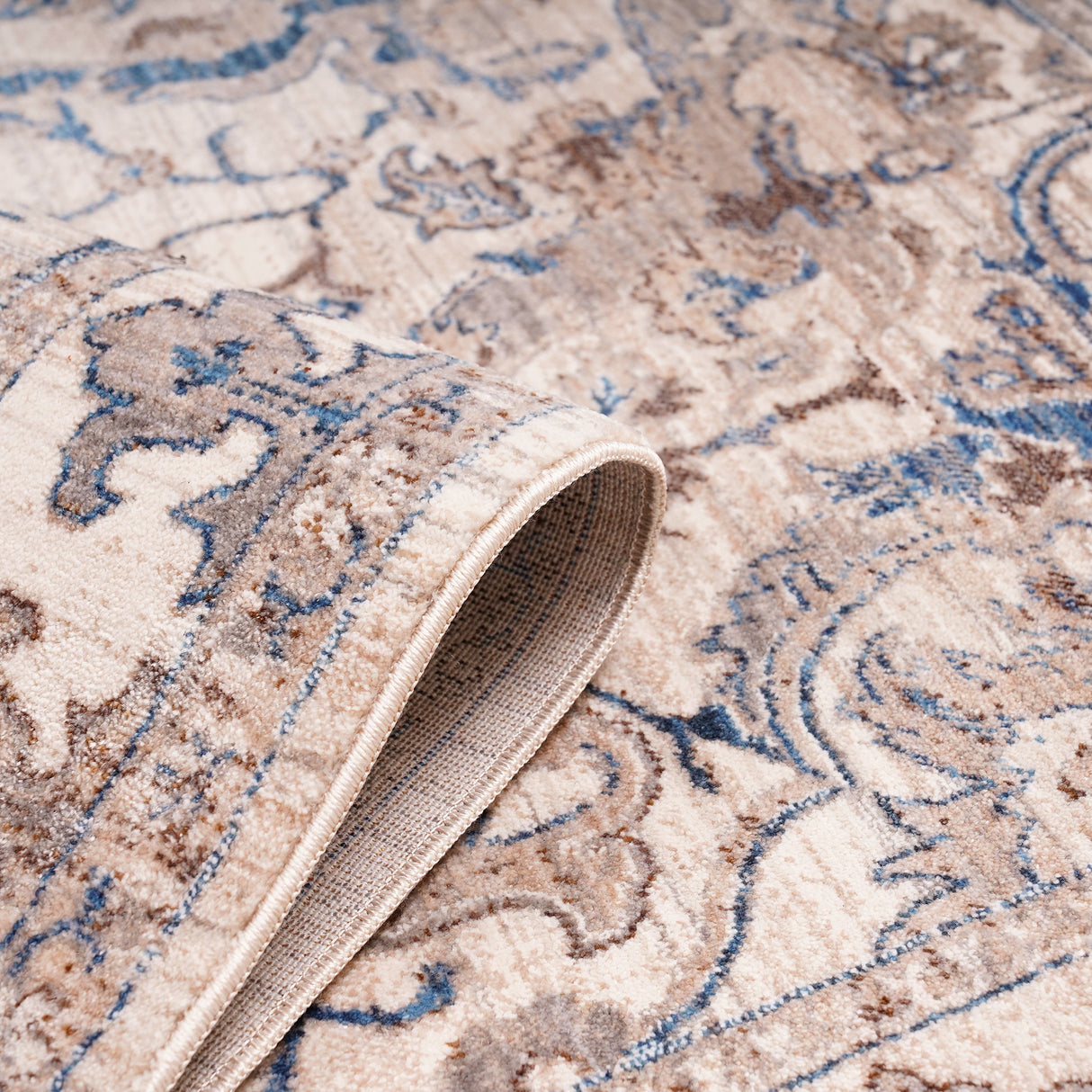 Amer Rugs ARC-1 Arcadia Oriental Design Area Rug