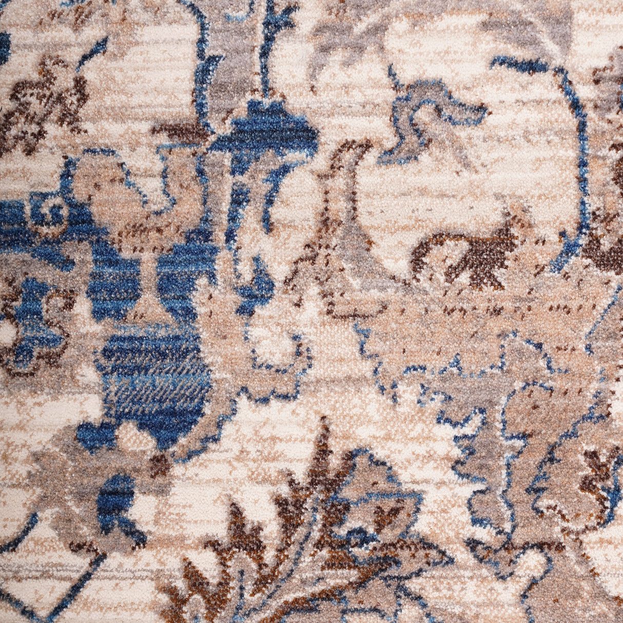 Amer Rugs ARC-1 Arcadia Oriental Design Area Rug