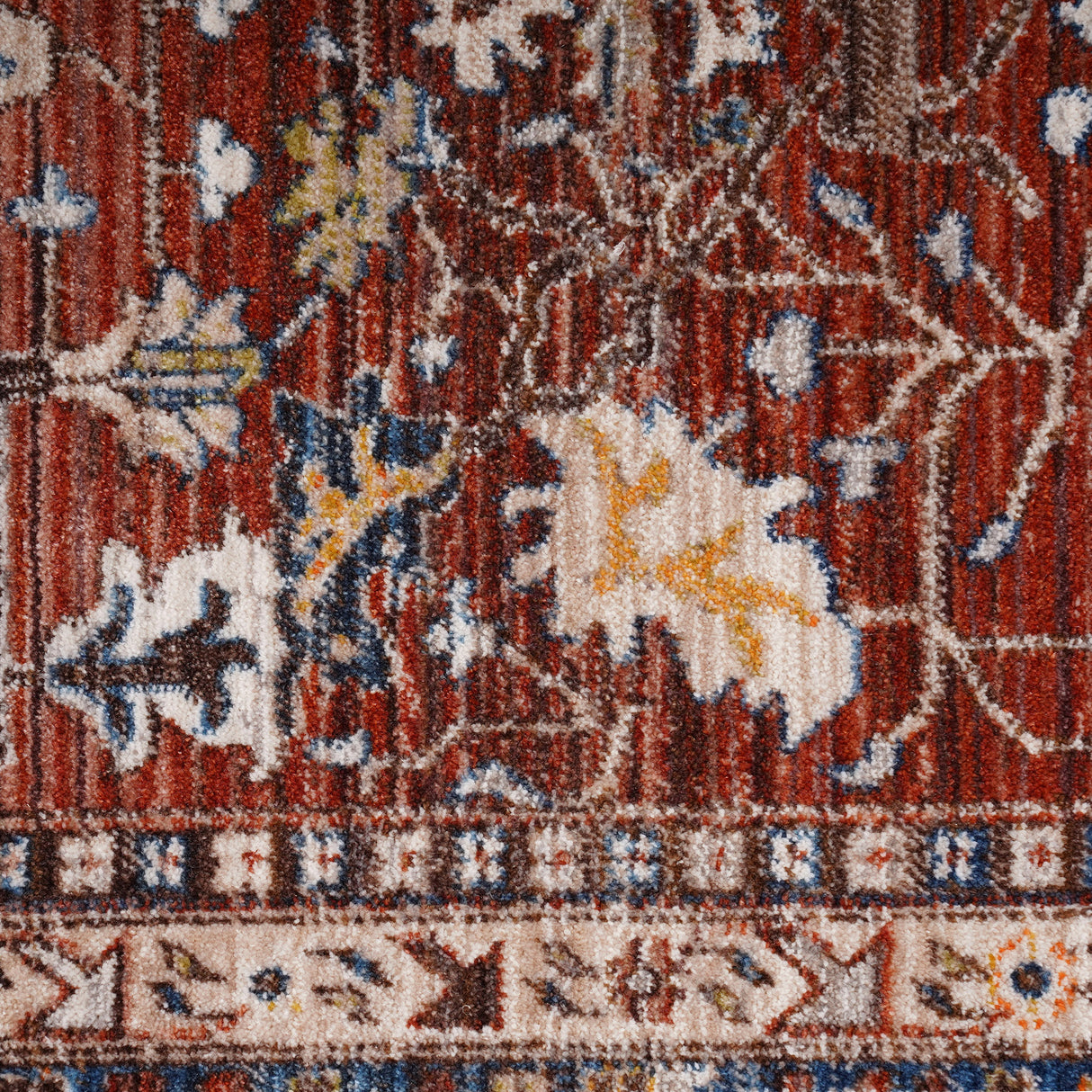 Amer Rugs ARC-3 Arcadia Oriental Design /Navy Area Rug