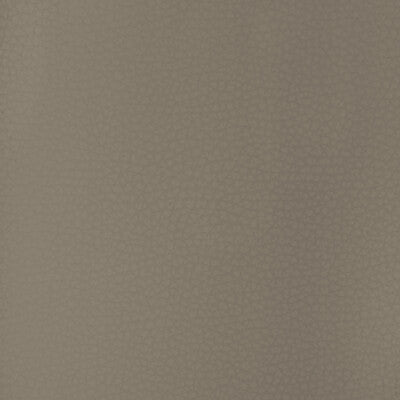 KRAVET DESIGN ARENI.11.0 KRAVET DESIGN ARENI-11 Fabric - FAUX LEATHER IV