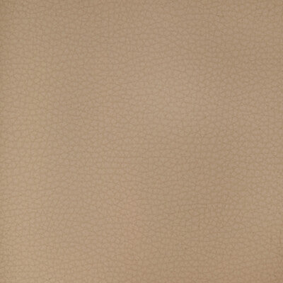 KRAVET DESIGN ARENI.1101.0 KRAVET DESIGN ARENI-1101 Fabric - FAUX LEATHER IV