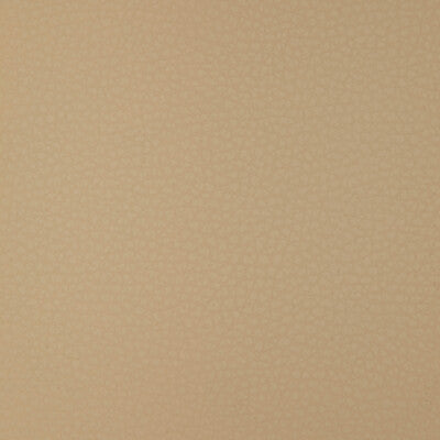 KRAVET DESIGN ARENI.16.0 KRAVET DESIGN ARENI-16 Fabric - FAUX LEATHER IV