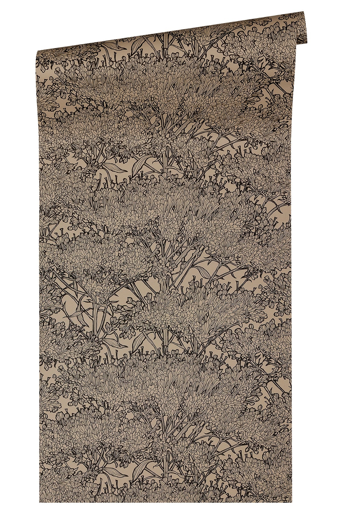 Eade’s Hornbeam Brown Tree Wallpaper Brown