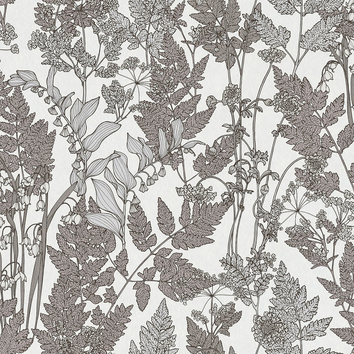 Eade’s Ayla Light Grey Wildflowers Wallpaper Light Grey
