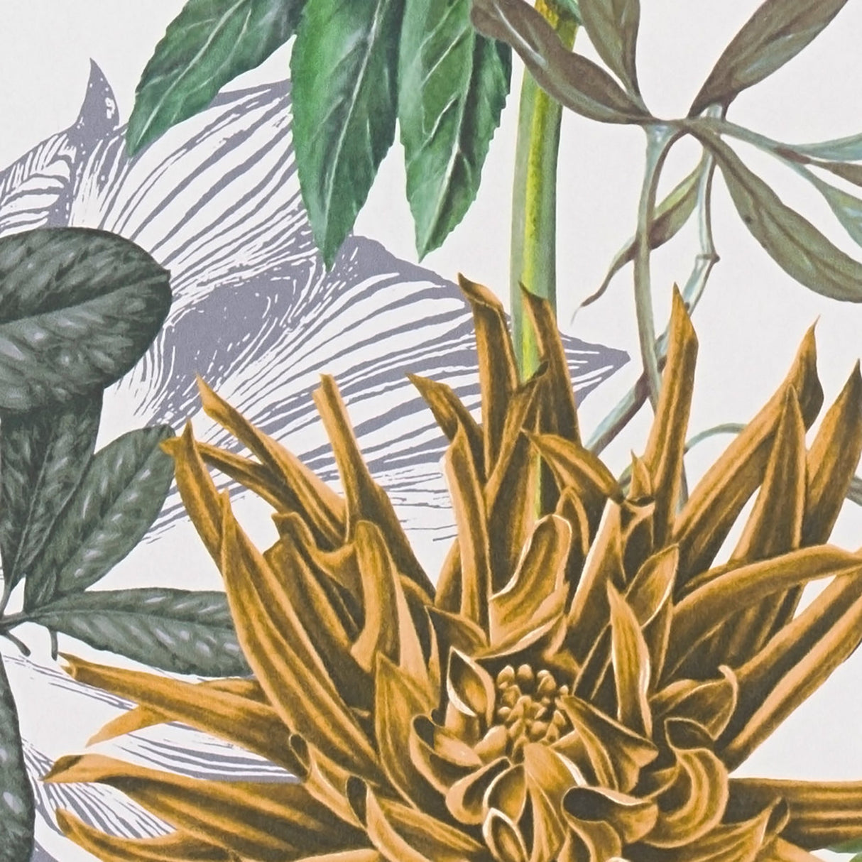 Eade’s Althea White Flower Garden Wallpaper White