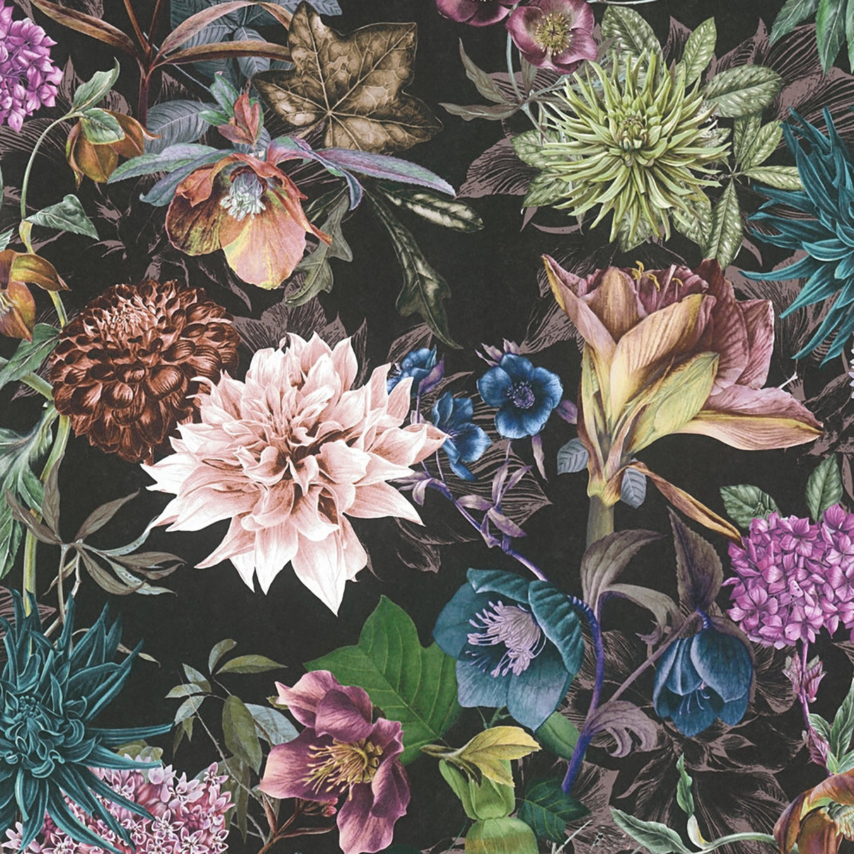 Eade’s Althea Black Flower Garden Wallpaper Black