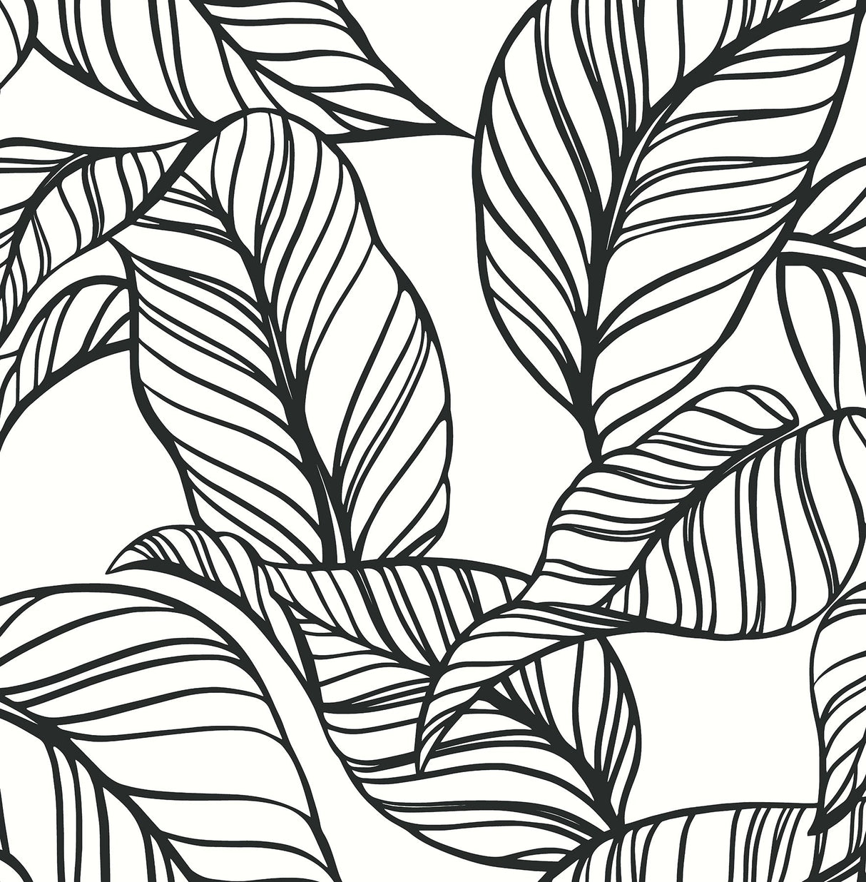 A-Street Prints AST3786 Kagan Black Large Leaf Wallpaper
