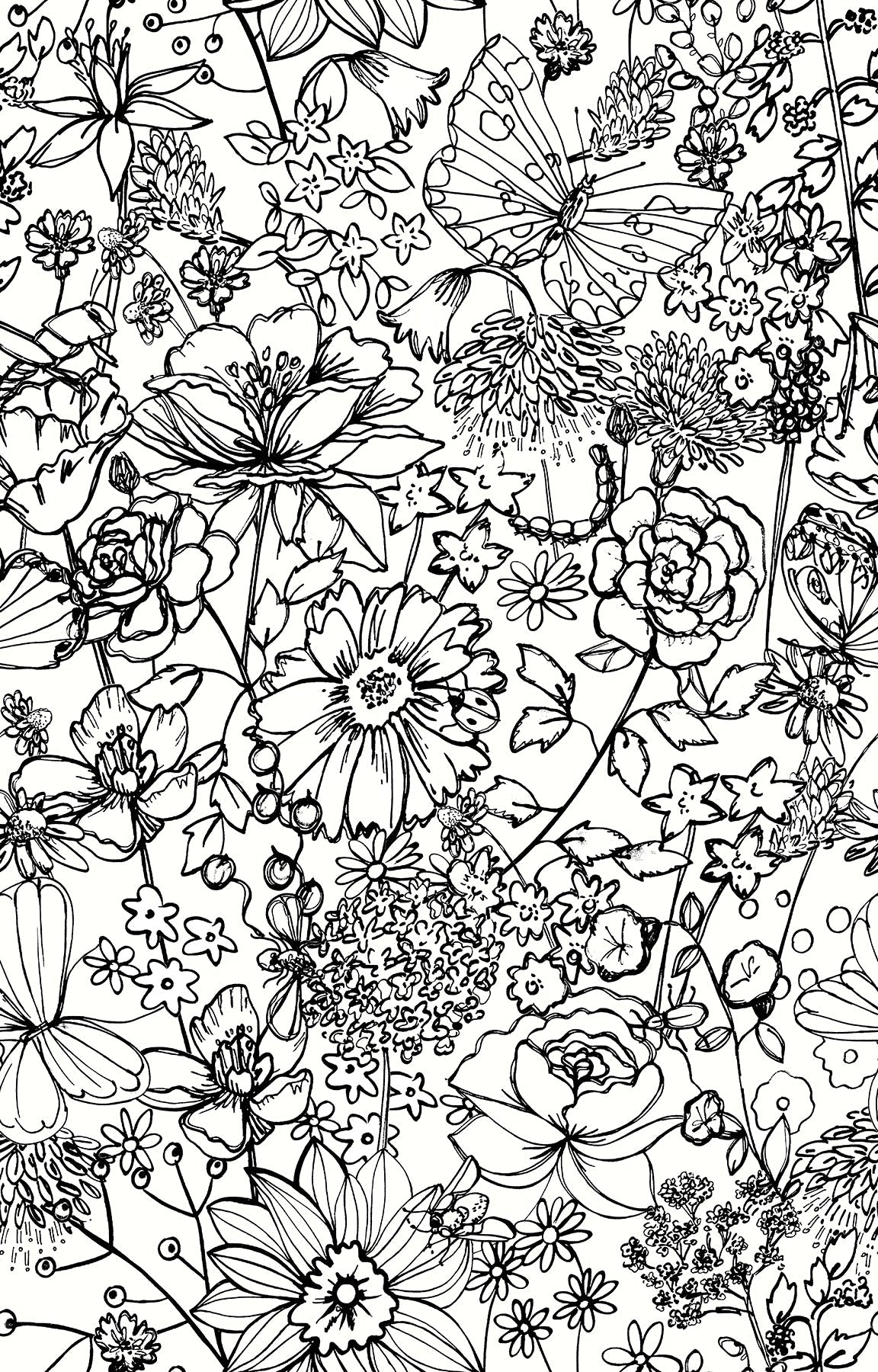 A-Street Prints AST3789 Daley Black Line Floral Wallpaper