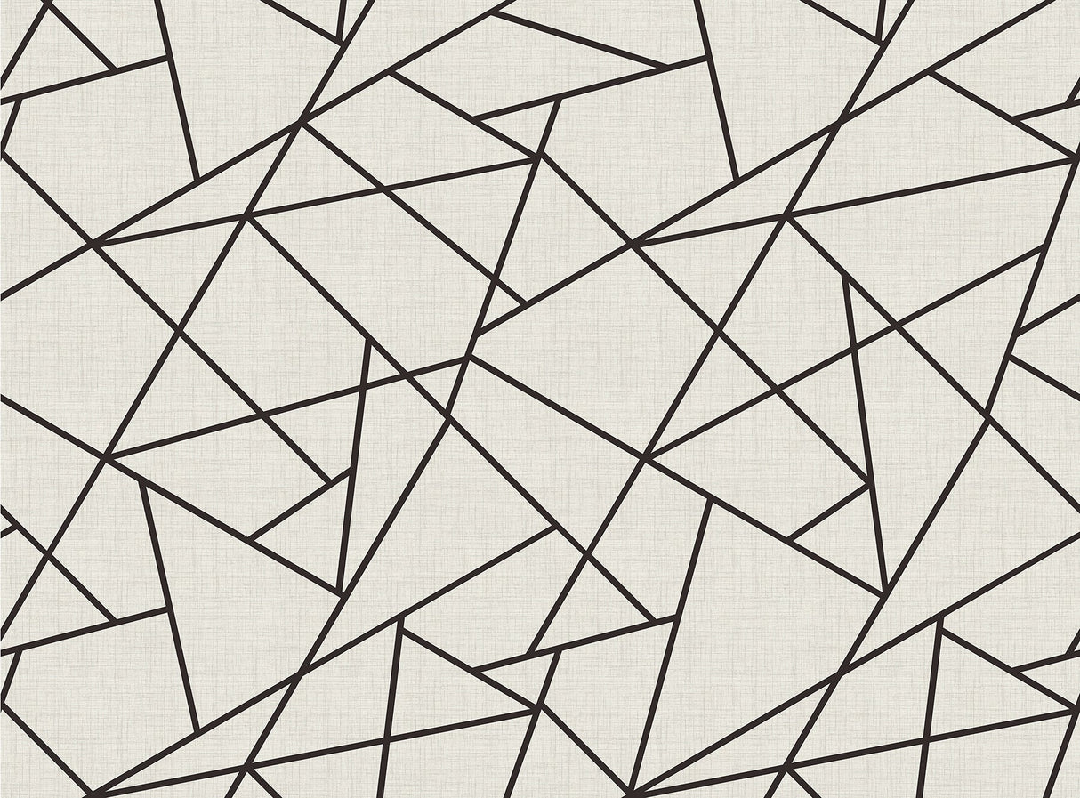 Katie Hunt x A-Street Prints ASTM3914 Modern Lines Black on Dove Grey Wall Mural