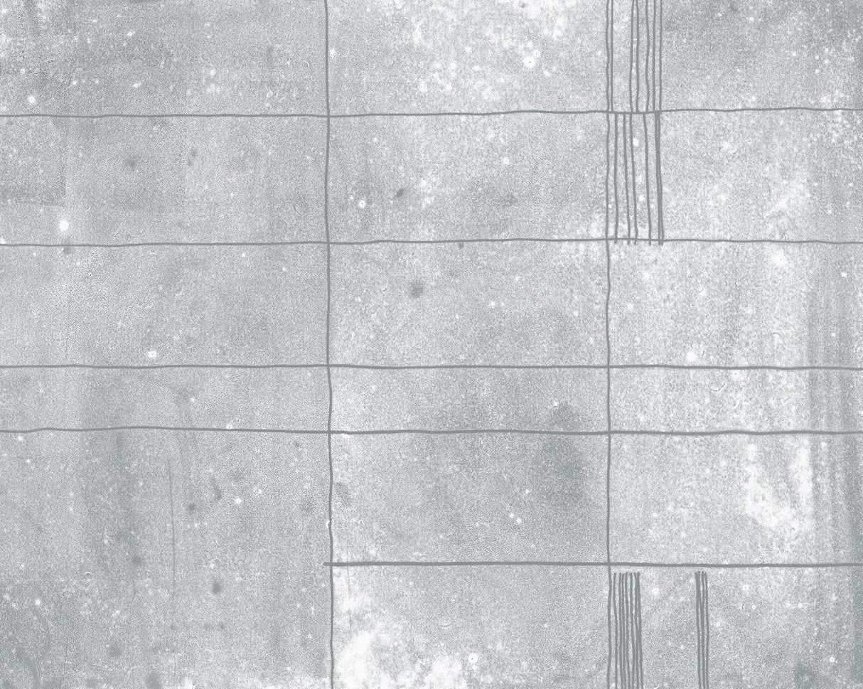 Karen Revis x A-Street Prints ASTM4180 Panes Grey Wall Mural