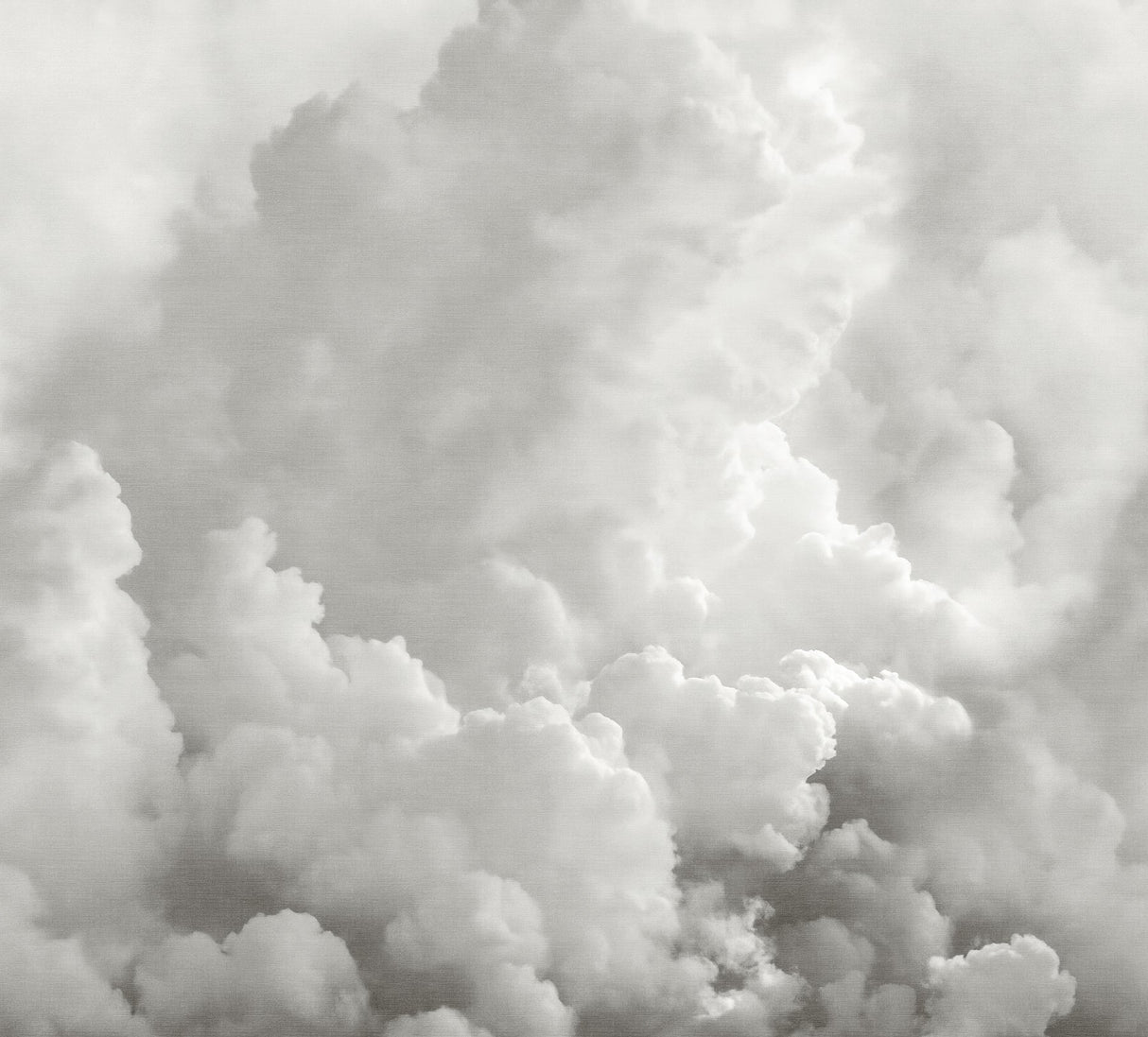 Katie Hunt x A-Street Prints ASTM5054 In the Clouds Dove Grey Wall Mural