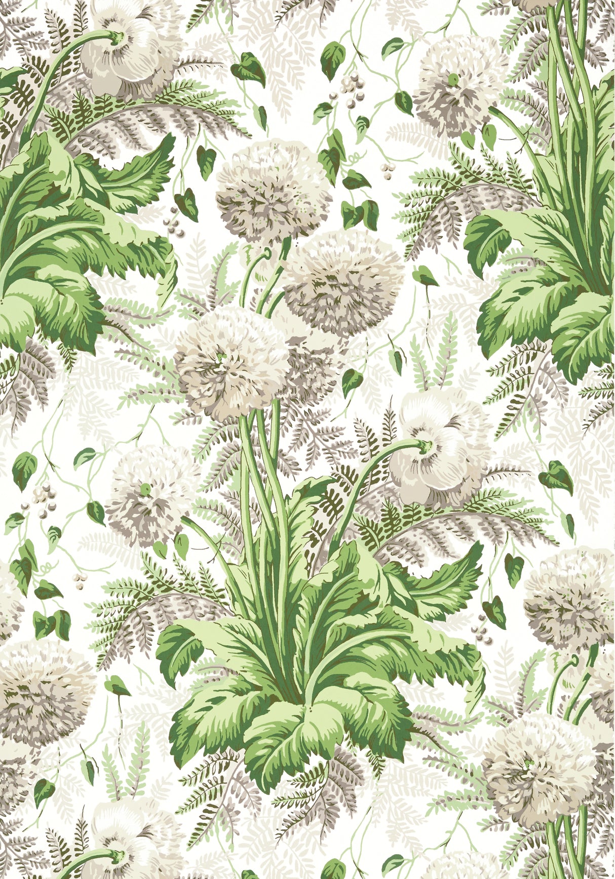 Anna French AT24538 DAHLIA Spring on White Wallpaper